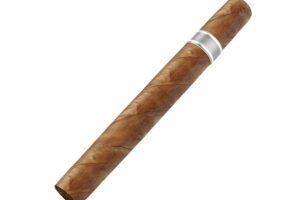 How to Find the Right Cigar Shop in Dubai, UAE?