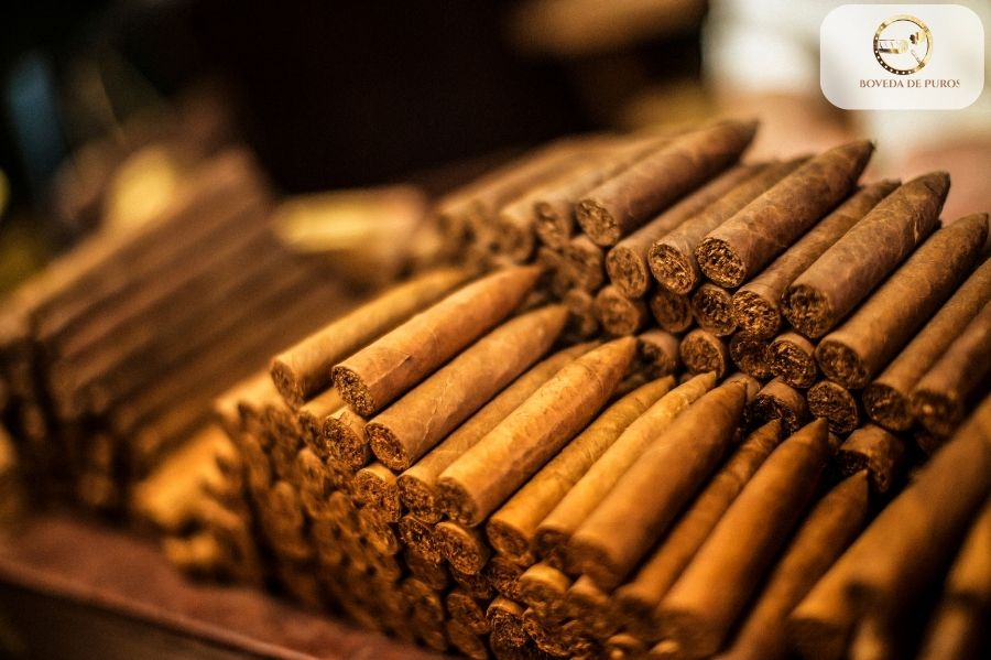 Top Reasons Why You Should Buy Premium Cigars with La Boveda De Puros in Dubai, UAE